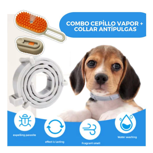 COMBO | Collar Antipulgas + Cepillo Vapor
